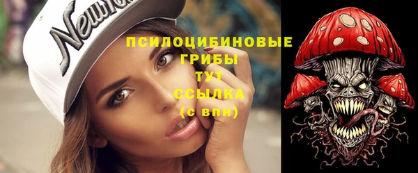 хмурый Сосновка